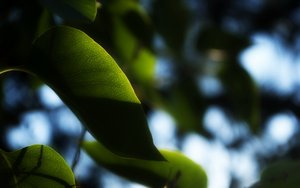 数据增强基础知识介绍：你需要知道的一切